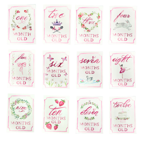 Monthly Milestone Card Set - Pink | Danrie