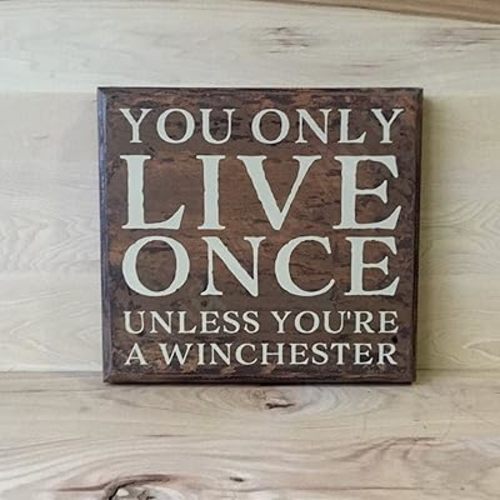 You Only Live Once Wood Sign Sayings, Supernatural Decor Funny Farmhouse Decor for Door Home Garden Living Room Kitchen Store Cafes Gate Garage Club Bar Wood Sign 10x10 Inch