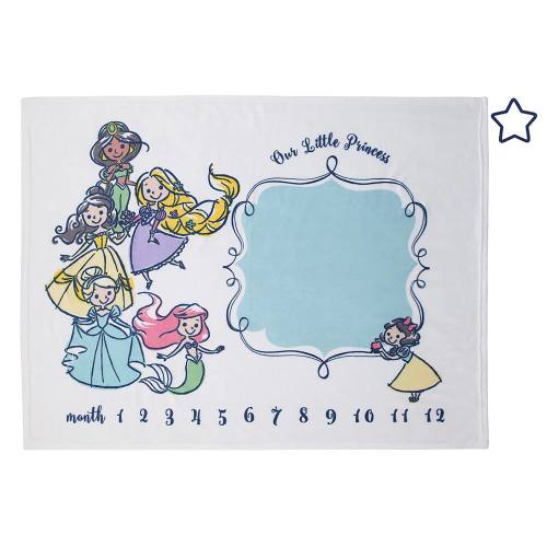 Disney Princess Milestone Baby Blanket