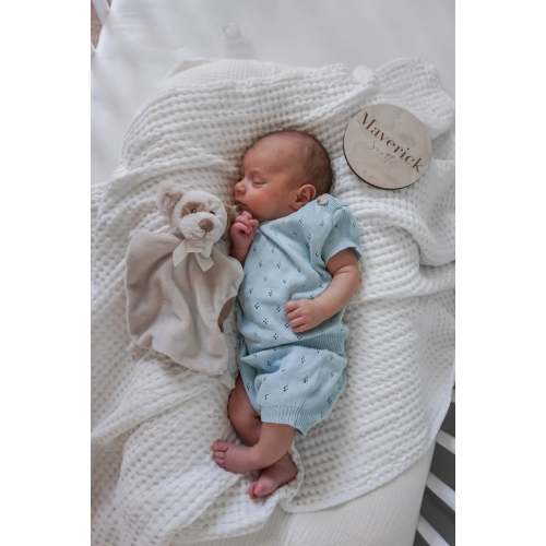 Luna + Luca Pointelle Set - Sky Blue