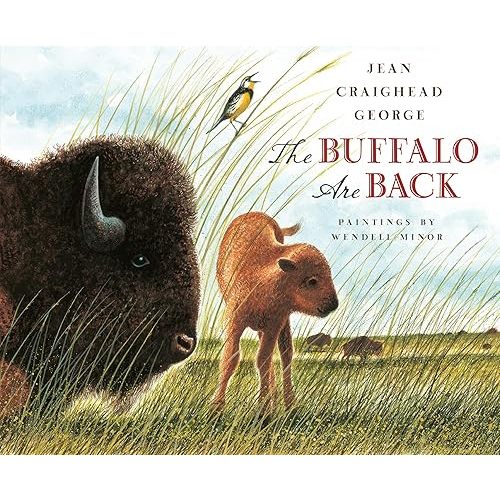 The Buffalo Are Back Hardcover – Picture Book, May 13, 2010