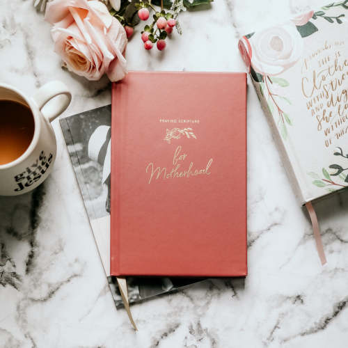 Praying Scripture for Motherhood Journal TDGC – The Daily Grace Co.