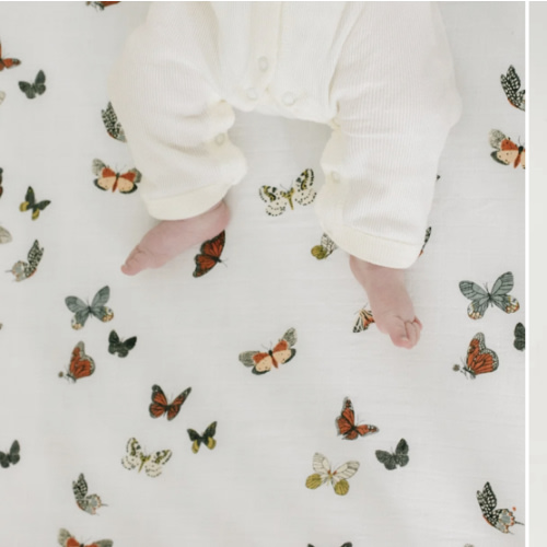 Butterfly Migration Crib Sheet
