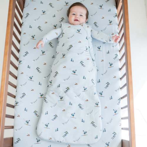 Sleep Bag in Ski 2.5