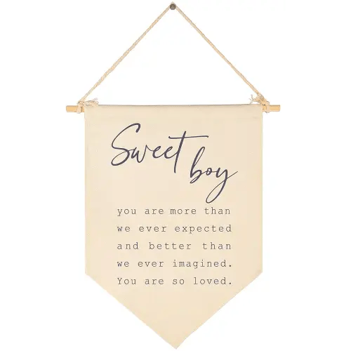 Sweet Boy-Baby Banner Gift Shower-Flag Decor Gifts for Boys Newborn Kids-Banner Wall Sign Present for Nursery Baby Room Playroom Bedroom Front Door