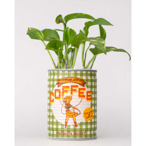 First Rodeo Ceramic Pot