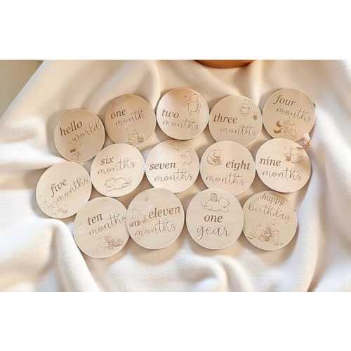 Pooh Bear Baby Wood Milestone Discs Age Photography Markers Baby Shower Gift Photo Props Piglet Tiger Winnie the Pooh Nursery Decor Signs