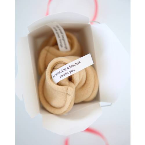 Fortune Cookie Booties - Soft Soled Shoes ® - Personalized Baby Booties