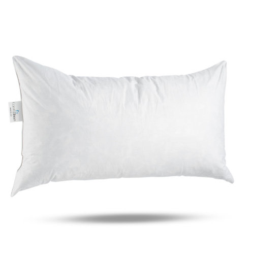 ComfyDown 95% Feather 5% Down Rectangle Decorative Pillow Insert Sham Stuffer & Reviews | Wayfair