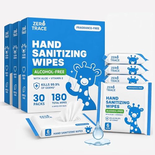 Zero Trace Pocket Hand Sanitizer Wipes – Alcohol-Free & Fragrance-Free – Kills 99.9% of Germs – Safe for Kids & Sensitive Skin – Travel Wipes – 60 Count (10 Packs of 6) – TSA Approved