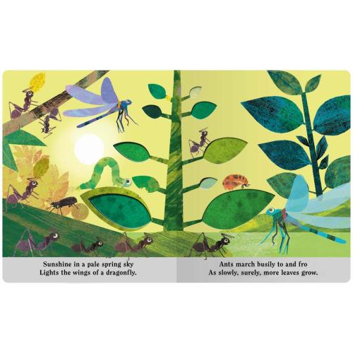 Bugs by Britta Teckentrup | Bookstore of Glen Ellyn