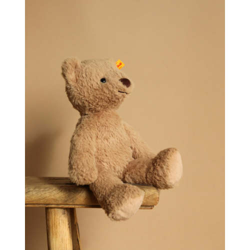 Steiff Thommy Teddy Bear, 12 Inches