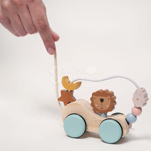 Montessori Roaring Roller Toy - Pull, Push, & Explore!