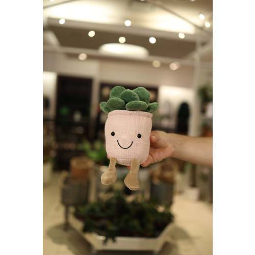 Potted Succulent Plush – Lost in the Forrest