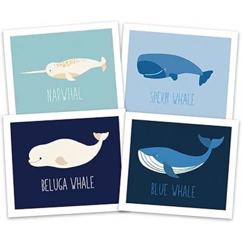 Nautical Whale Nursery Wall Art Prints, Set of 4 (11x14) Unframed Posters – Ocean Nursery Decor with Narwhal, Beluga, Sperm & Blue – Educational Gender Neutral Kids Room & Classroom Art