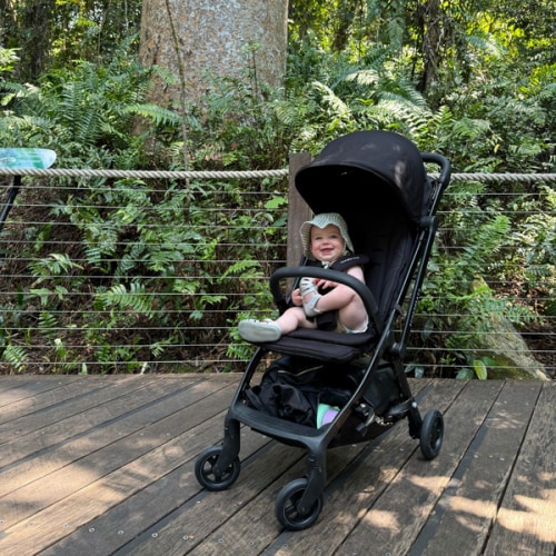 Lucci Stroller