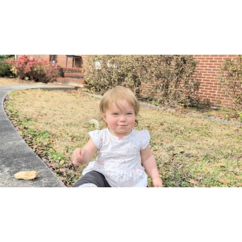 Amazon / food / grocery gift cards!