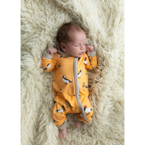 Orange Duck Sleeper