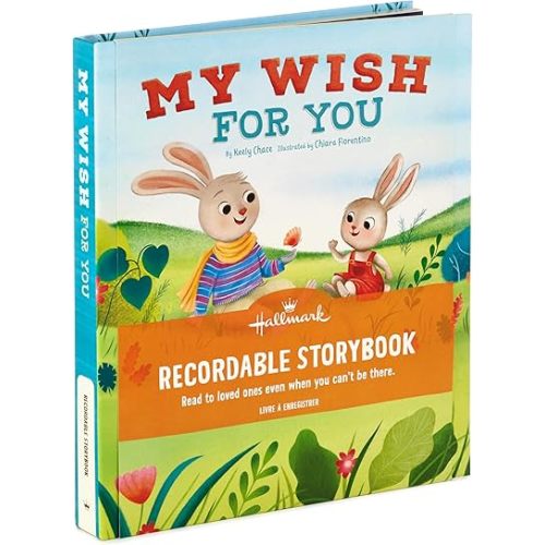 Hallmark Recordable Book for Children (My Wish for You) Easter Basket Stuffers