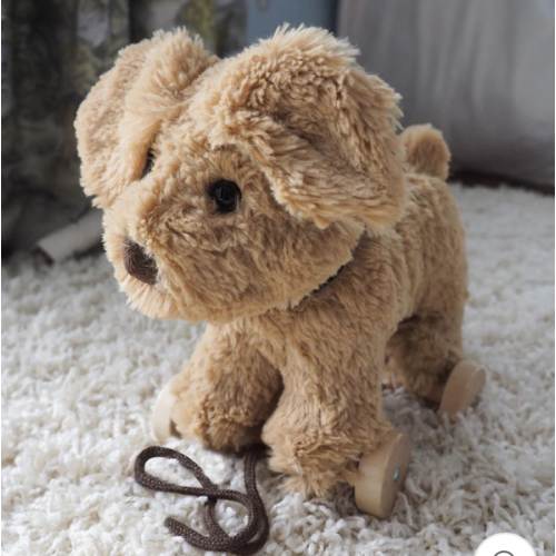 Dexter Dog Pull Along Toy