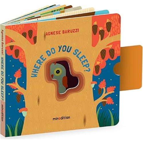 Where Do You Sleep? (A Pull Tab Book)