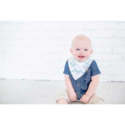 Copper Pearl 4 Pack Soft Cotton Baby Bibs for Drooling and Teething, Absorbent Drool Bibs for Baby Girl and Boy, Adjustable to Fit Newborns to Toddlers, Tons of Styles (Archer Set)