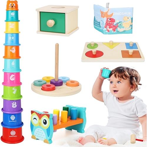 Montessori Toys for 1 Year Old, 6-in-1 Baby Toys 6-12 Months Educational Toys for 1 Year Old Developmental Learning Toy Infant Birthday Gifts for Boys Girls Babies