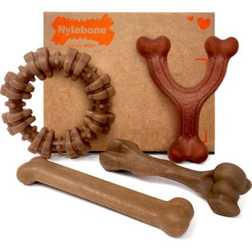 NYLABONE Strong Chew Real Bacon, Bison, Venison, Beef & Chicken Dog Chew Toy Bundle, Large, 4 count - Chewy.com