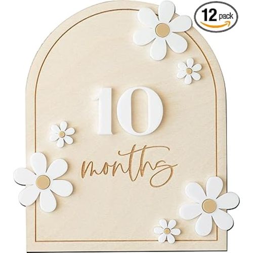 Daisy 3D Baby Monthly Milestone, Wooden Baby Milestone Signs, Monthly Milestone Wood Discs, Baby Milestone Discs (Daisy)
