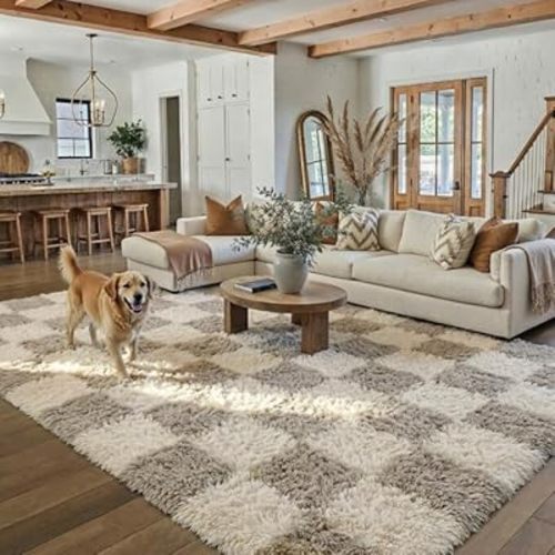 PureCozy Checkered Rug 5x7 for Living Room, Modern Grey Shag Rug Shag Rug Super Soft Washable Indoor Fuzzy Carpet Non-Slip Fluffy Rugs for Bedroom Home Aesthetic Decor