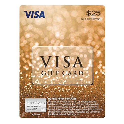 $25 Visa Gift Card (plus $3.95 Purchase Fee)