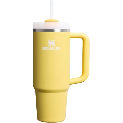 STANLEY Quencher H2.0 Tumbler with Handle and Straw 30 oz | Flowstate 3-Position Lid | Cup Holder Compatible for Travel | Insulated Stainless Steel Cup | BPA-Free | Daffodil