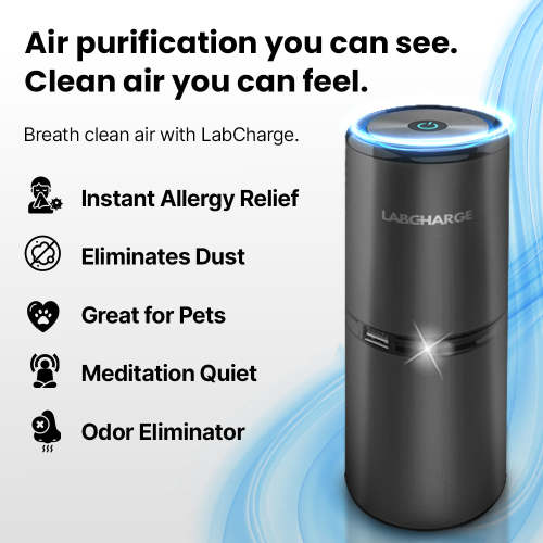 Top-Rated Ionic Air Purifier