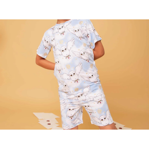 Harry Potter™ Hedwig's Sky Mail Short Sleeve Pajama Shorts Set