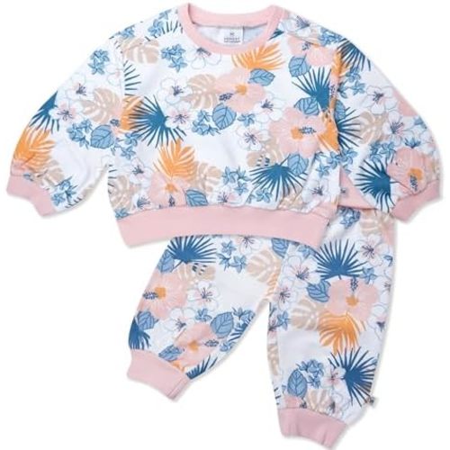 HonestBaby 2-Pack Sweatshirt & Pant Set (0-3 months)