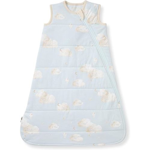 Burt's Bees Baby Beekeeper Infant Wearable Blanket, 100% Organic Cotton Unisex, Girl, Boy Swaddle Transition Sack