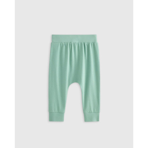 100% Organic Cotton Everyday Pant in Sage Green