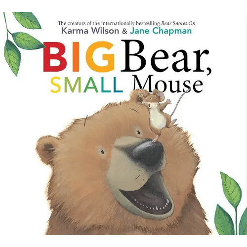Big Bear, Small Mouse (The Bear Books)