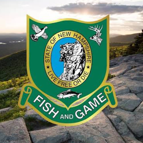 Newborn Lifetime Combination Hunting and Fishing Licence