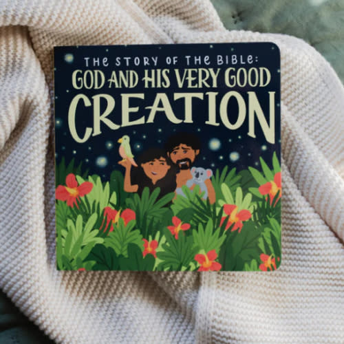 The Story of the Bible: Book 1 | TDGC – The Daily Grace Co.