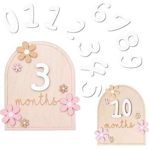 Baby Monthly Milestone Signs, Wooden Daisy Baby Monthly Milestone Cards Blocks with 1-12 Months Number, Babys Announcement Sign Photoshoot Props for Babys Growth Recording (Ellipse)