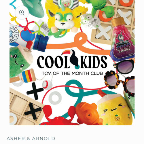 Cool Kids Toy of the Month Club