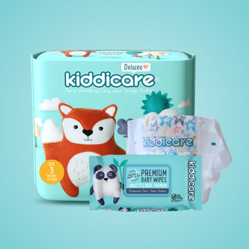 Monthly Diaper + Wipes Box