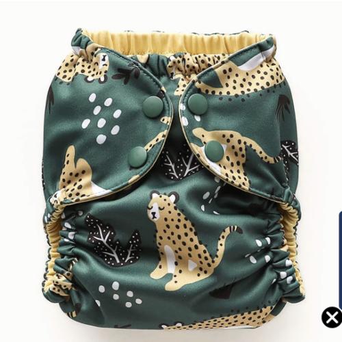 Outer–WWF Wildcats / One