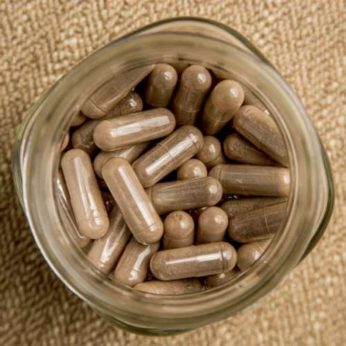Placenta Encapsulation