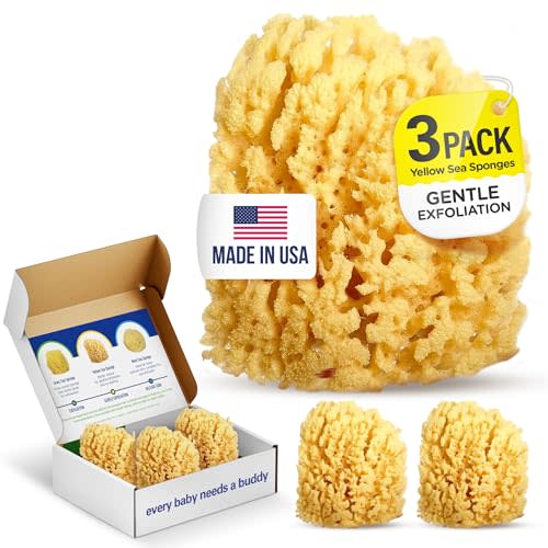 Baby Buddy Baby Bath 4in Yellow Sea Sponge, Absorbent Natural Sea Sponge, Soft on Tender Skin, Biodegradable, Hypoallergenic, Bath Accessories for Bathing, 3 Pack