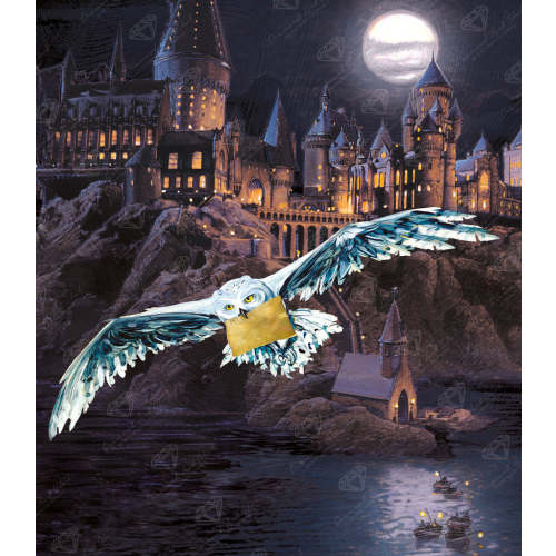 Hogwarts™ and Hedwig™ — 22" x 25″ (56cm x 64cm) / Round With 47 Colors Including 2 ABs / 45,372