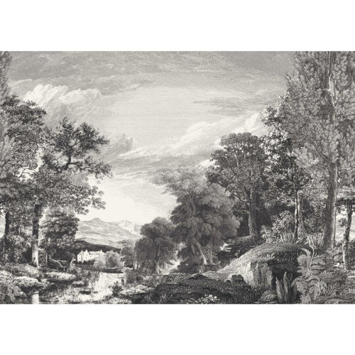 York Wallcoverings Scenic 10.2' L x 151.5'' W 6-Panel Wall Mural & Reviews | Wayfair