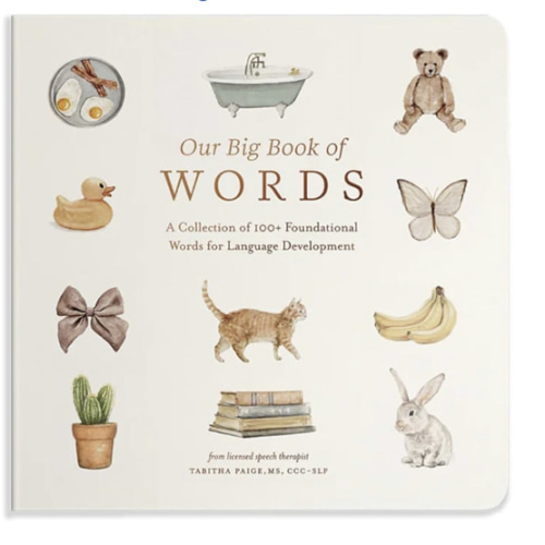 Our Big Book of First Words: A Collection of 100+ Foundational Words for Language Development (Tabitha Paige Children's Book Series)