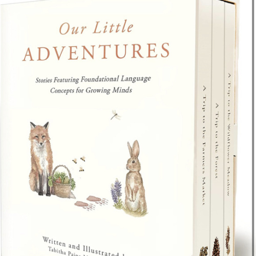 Our Little Adventures: Stories Featuring Foundational Language Concepts for Growing Minds (Tabitha Paige Children's Book Series)